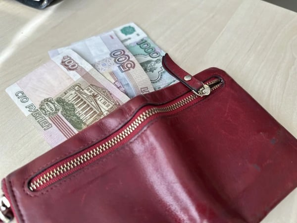 В Татарстане средняя зарплата за год выросла на 18,5%