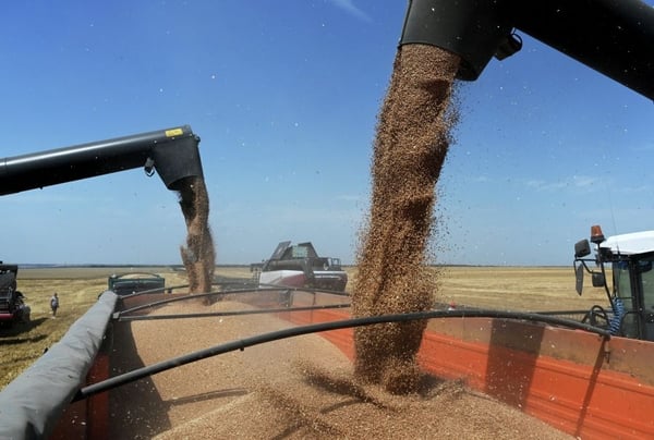 Россия получила рекордную выручку от экспорта агропродукции